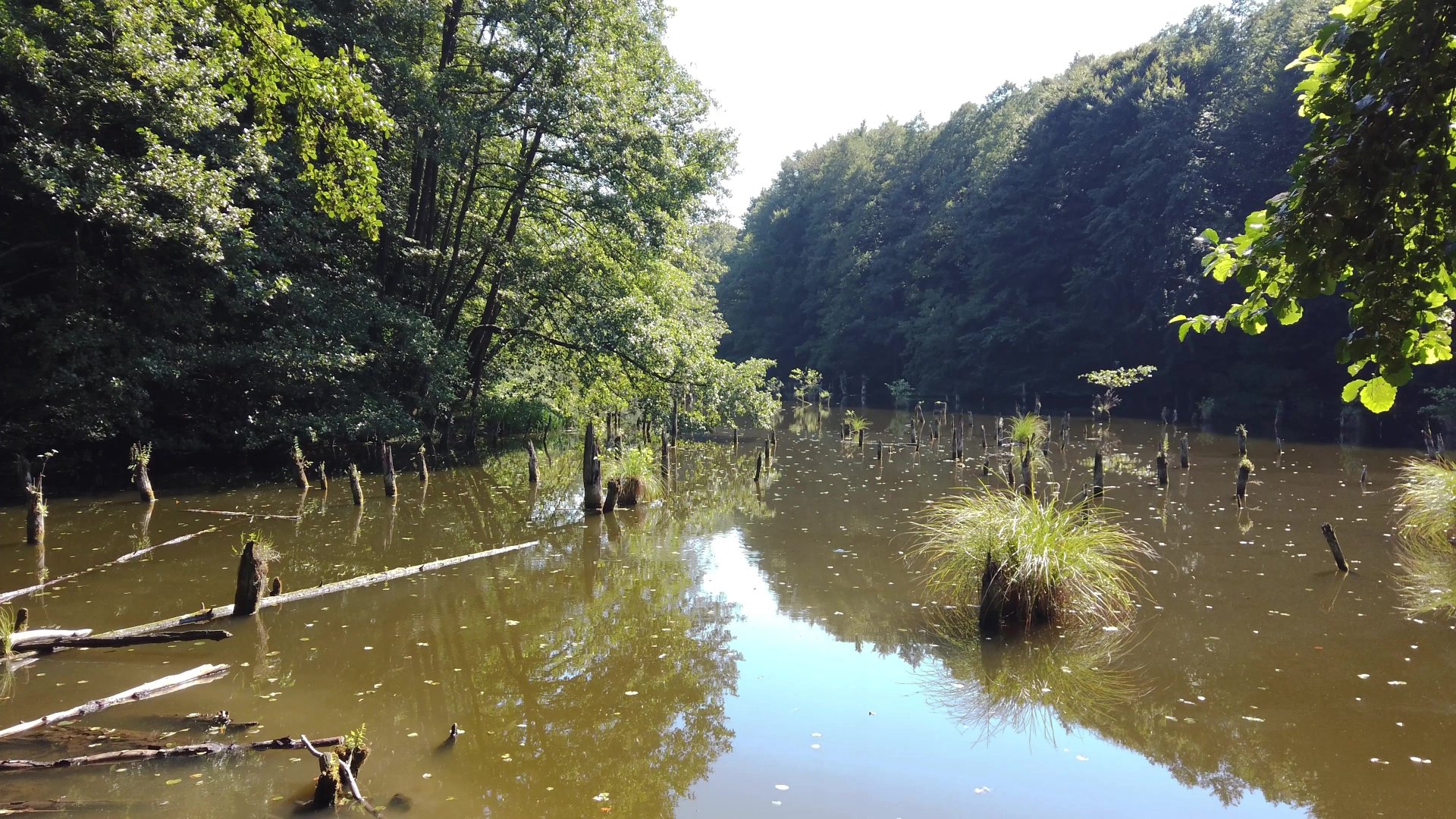 Hubertlaki-tó – Családbarát túra a híres bakonyi Gyilkos-tóhoz