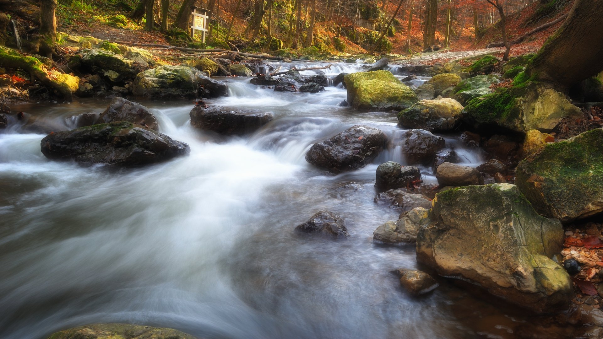 5 túravonal a Bakonyban tavaszra – Kirándulás a Kristály Hotelből