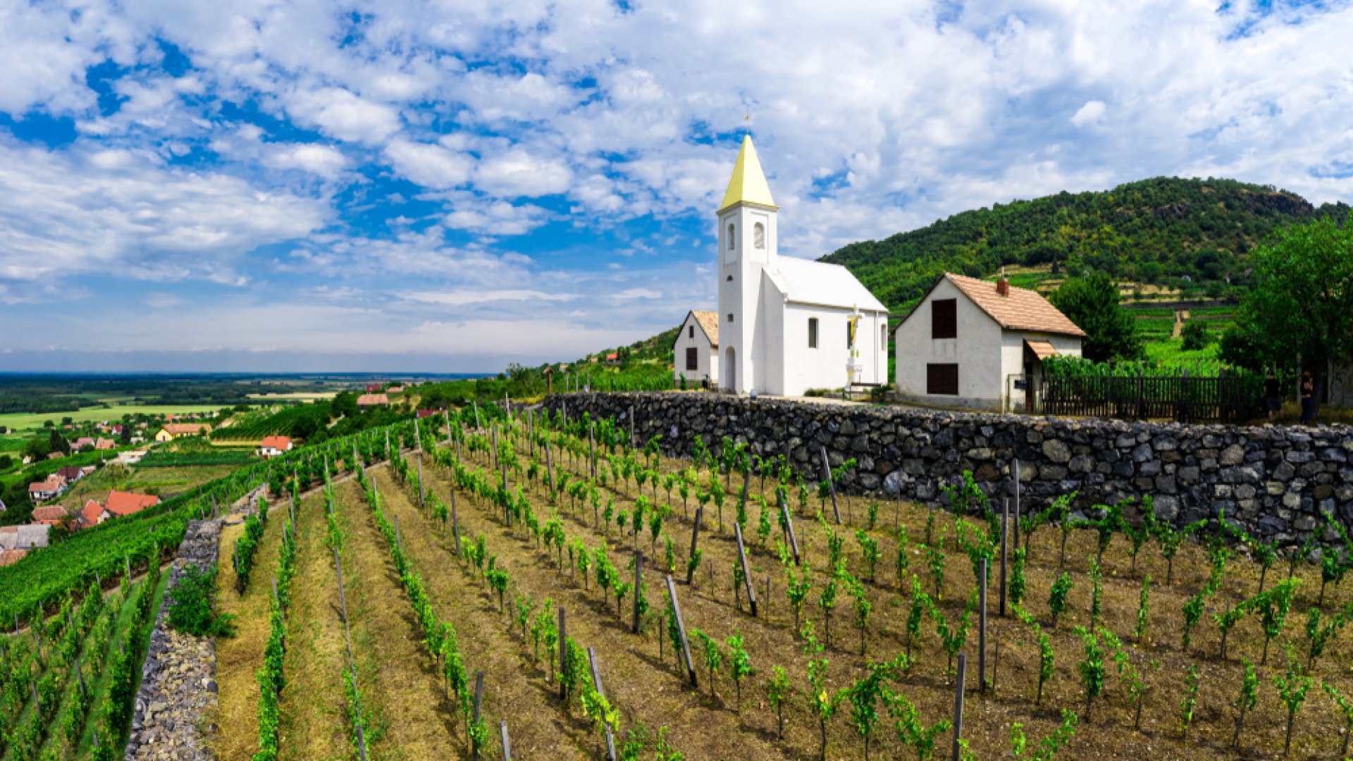 Magyarország legjobb borait mérik itt: A Somló legjobb borászatai